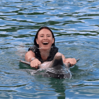 dolphin swim montego bay