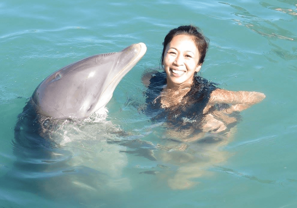 Swim with Dolphins in Montego Bay Jamaica(800)6675524
