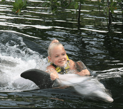 My Swim with Dolphins in Islamorada Keys