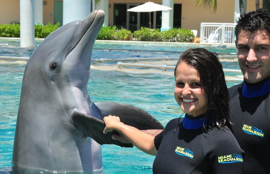 Dolphin Lobby Shop - Miami Seaquarium