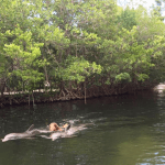 Florida Keys Dolphin Park