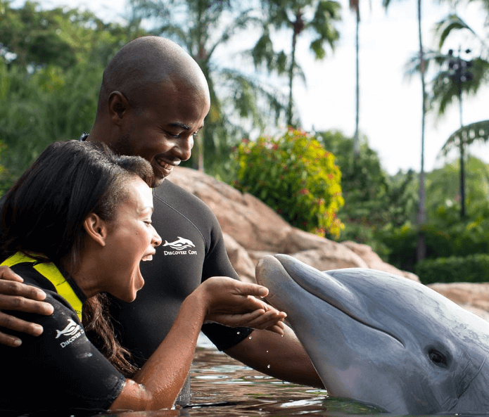 Family Fun Dolphin Cove Orlando