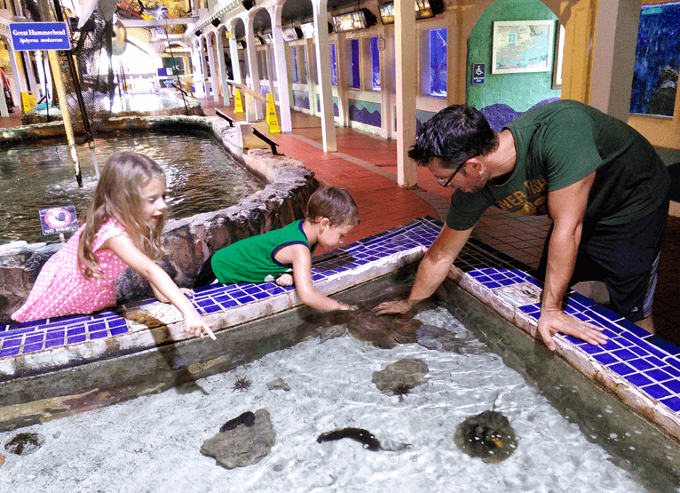 Key_West_Aquarium