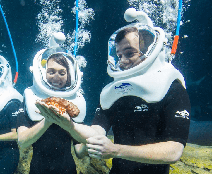 sea trek florida