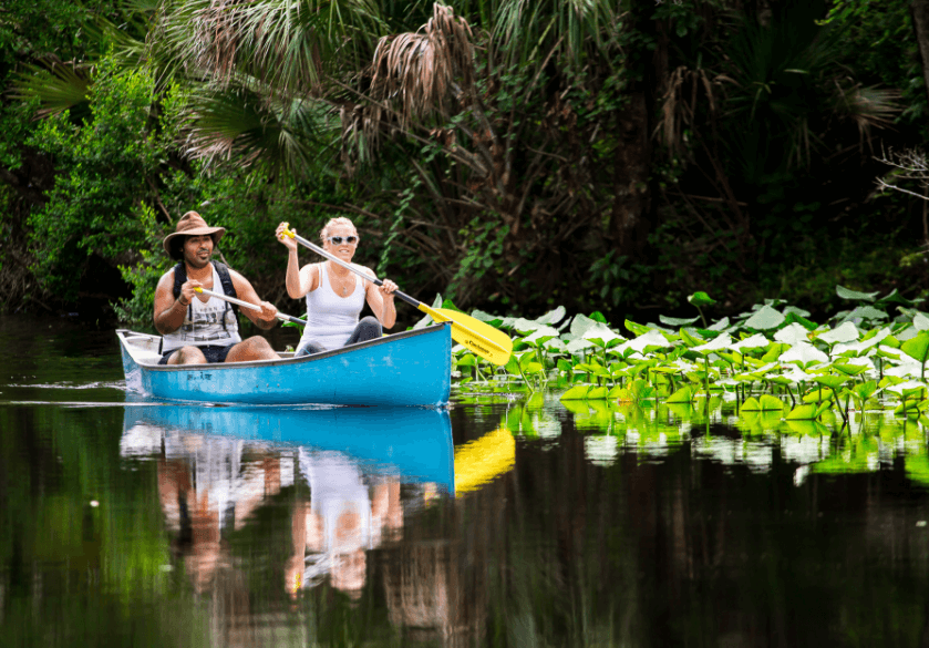 Wekiva_River_paddling