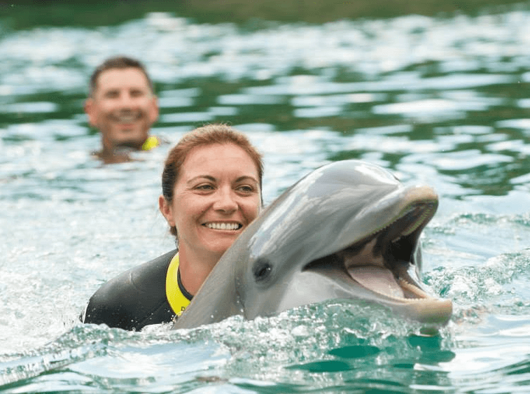 orlando cove dolphin swim