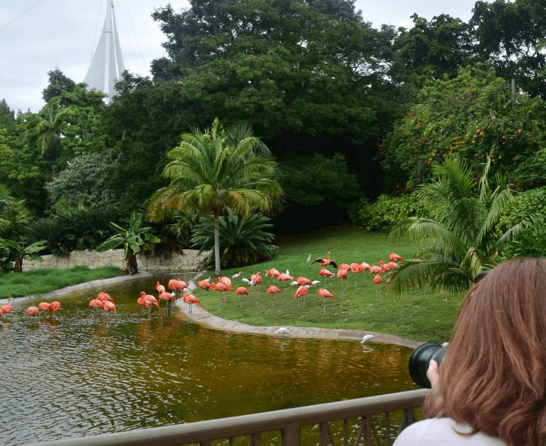 Jungle Island Park