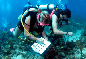 A Fun and Exciting Career - Marine Science