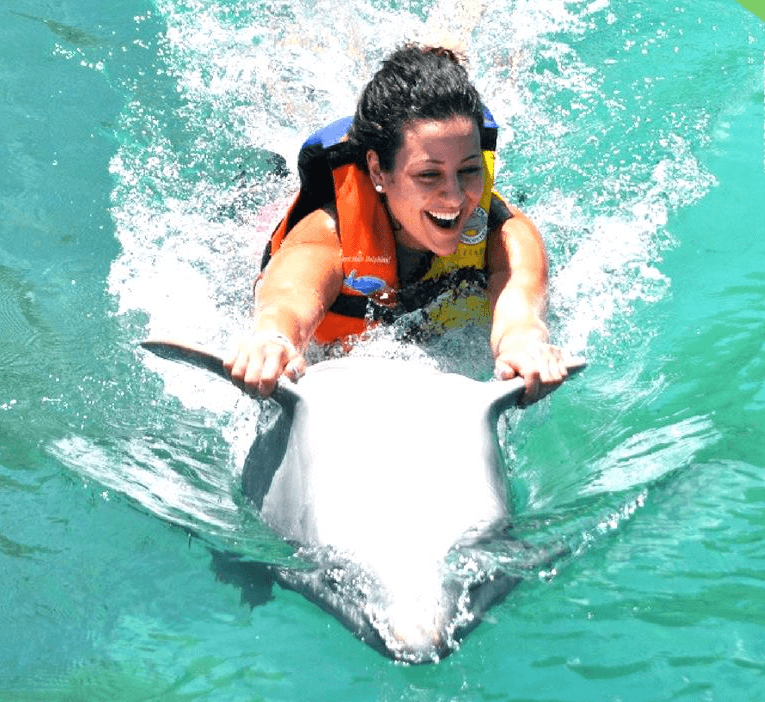 Dolphin Ride in Anguilla Island