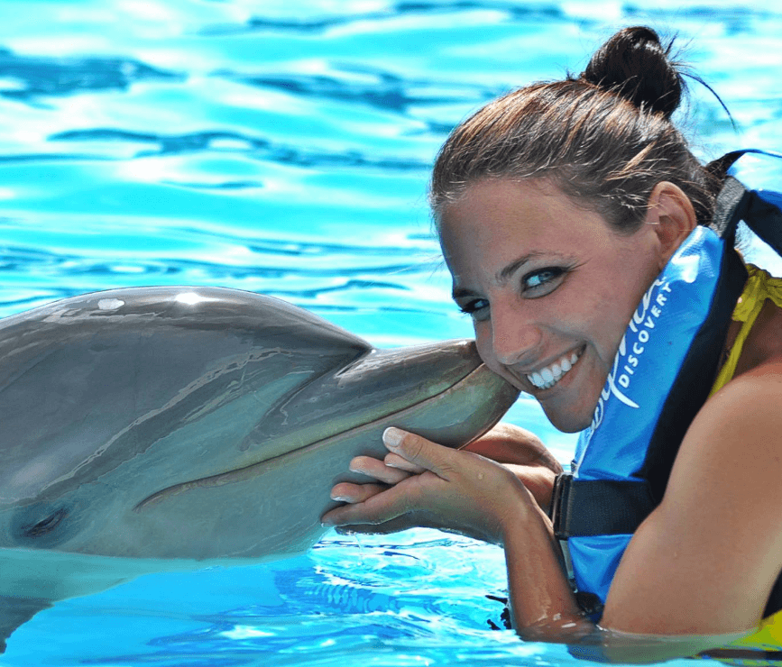 One on One with the Dolphin in Anguilla