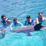 Swim with Dolphins Oahu Hawaii