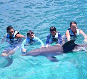 Swim with Dolphins Oahu Hawaii