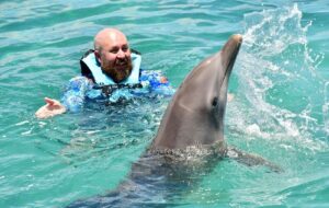 Dolphin Exploration Oahu Hawaii