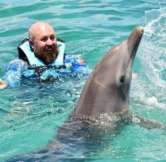 Dolphin Exploration Oahu Hawaii