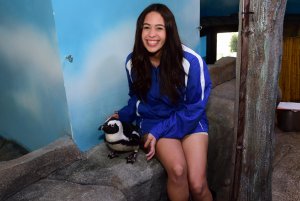 Penguin Meet and Greet in Miami