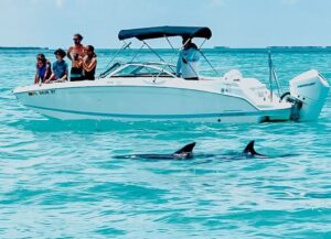 Wild Dolphin Trip Key West
