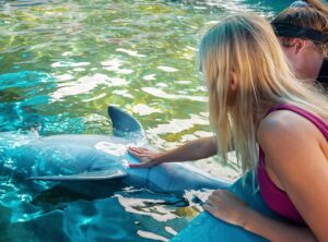Dolphin Aloha Touch and Feed Oahu Hawaii