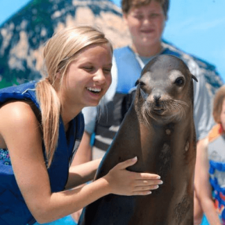 Sea Lion Encounter Oahu Hawaii