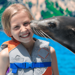 Sea Lion Encounter Oahu Hawaii