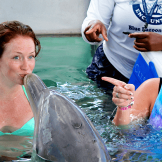 Fun Dolphin Encounter Nassau Bahamas
