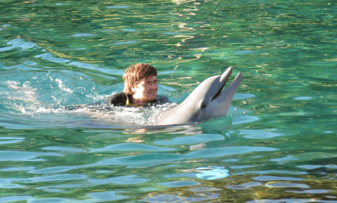 Swimming with Dolphins in Orlando
