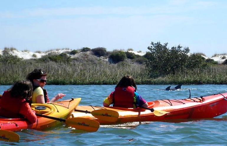 Eco Tours St Augustine Beach