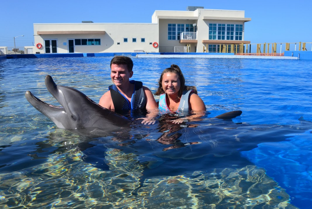 Dolphin Program St Augustine Beach