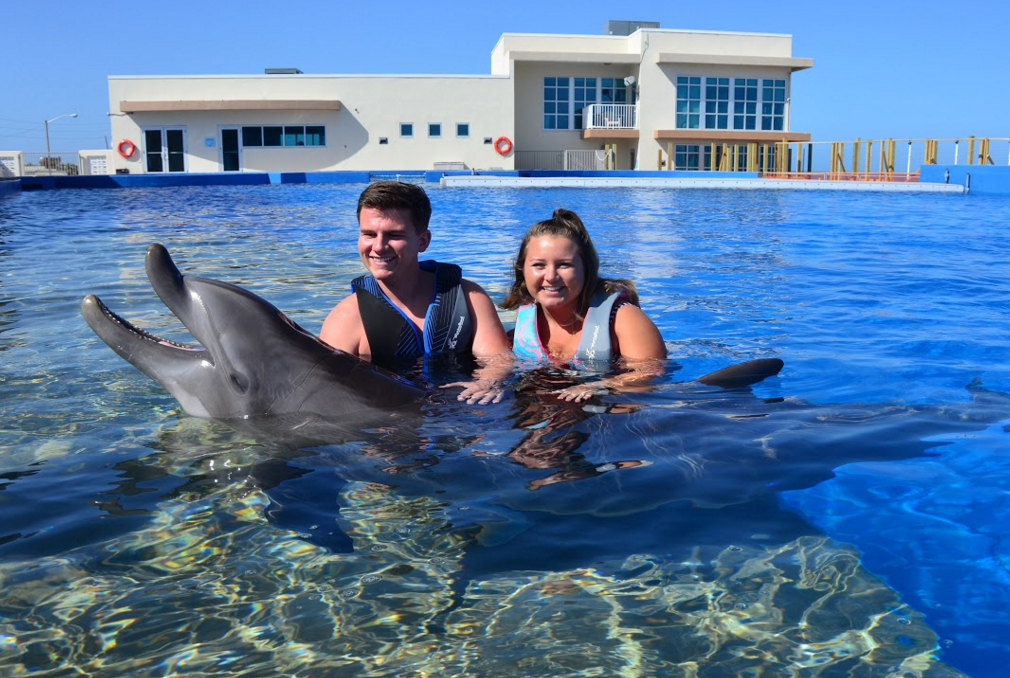 Swimming With Dolphins: Swim with Dolphin World - (800) 667-5524