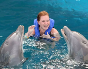 dolphin royal swim panama city beach