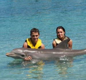 Dolphin Encounter Puerto Pllata