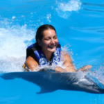 Panama City Beach Dolphin Swim Adventure