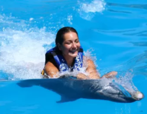 dolphin swim adventure panama city beach