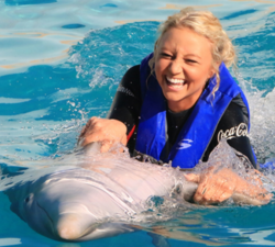 dolphin swim adventure panama city beach fl