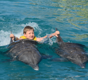Puerto Plata Dolphin Royal Swim