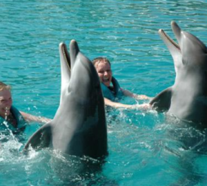 Dolphin Royal Swim Puerto Plata