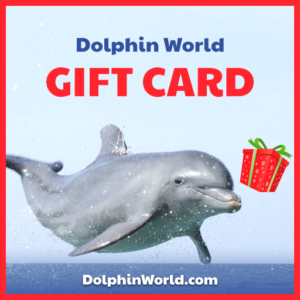 Dolphin World Gift Card