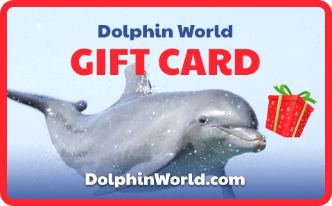 Dolphin World Gift Card