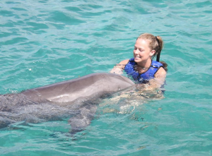 Dolphin Splash and Swim