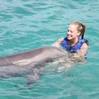 Dolphin Splash and Swim
