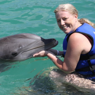 Dolphin Encounter Moment St Thomas