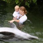 Dolphin Encounter Fl Keys