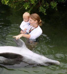 Dolphin Encounter Fl Keys