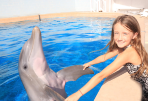Panama City Beach dolphin Meet and Greet
