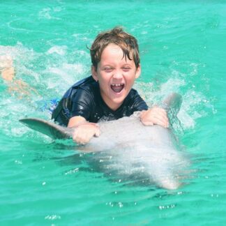 Action Dolphin Swim Punta Cana