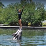 Dolphin show in the Florida Keys