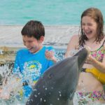Dolphin Family Encounter (non-swim) Punta Cana
