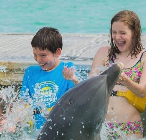 Dolphin Family Encounter (non-swim) Punta Cana