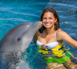 Dolphin Family Experience Non-swim