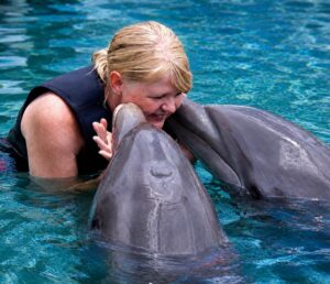 Dolphin Encounter Key Largo
