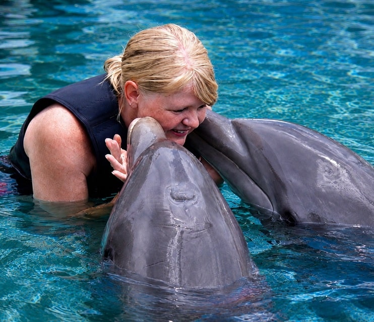 Dolphin Encounter Key Largo